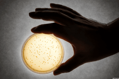 Projecting Big Growth For This $13 Billion Biotech Name