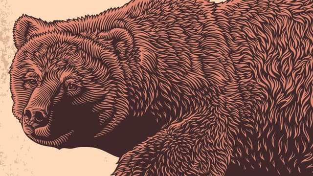 The Setup Bears Have Been Waiting for Is Here
