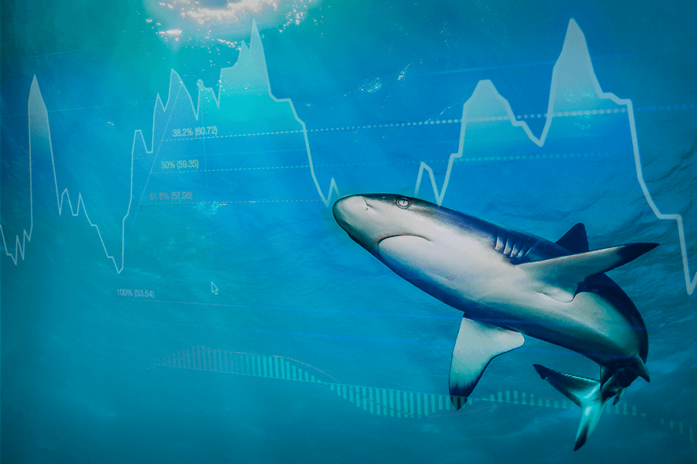 Bulls and Bears Both Want a Pullback: How I’m Playing It With 19 Stocks
