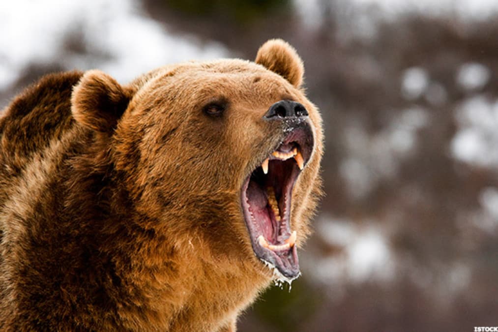 Memory Stocks Lead Rally While Bears Stay on the Sidelines