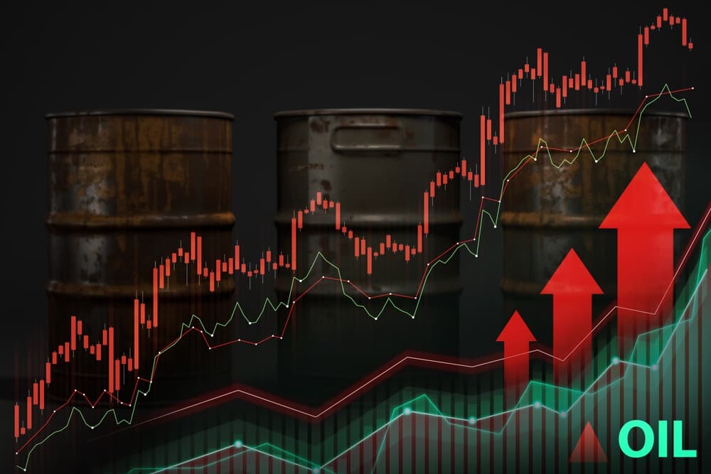 Oil