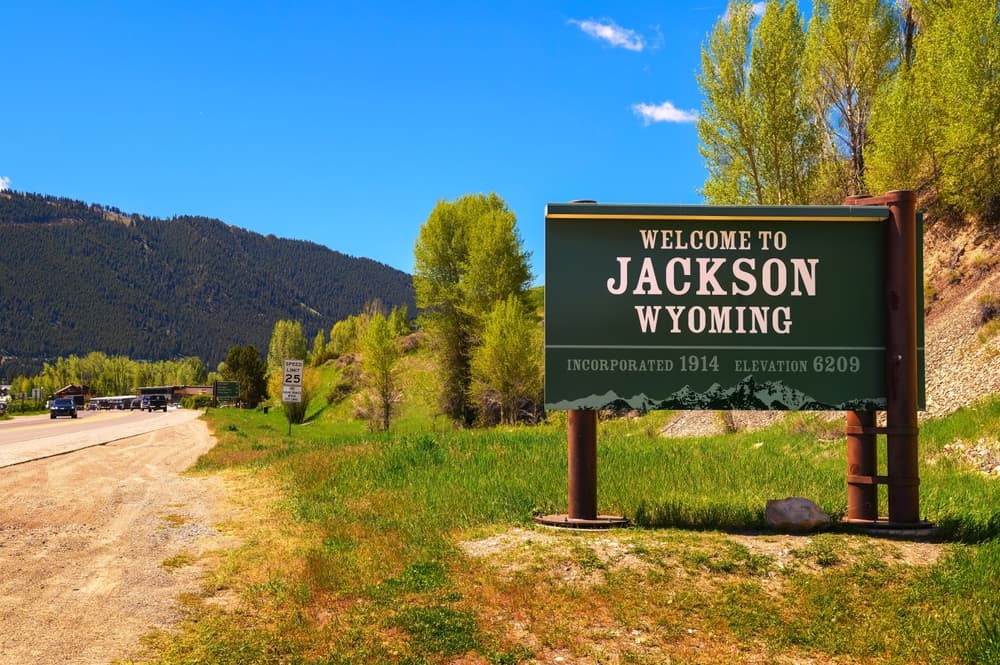 Jackson Hole and Nvidia Loom, but Don’t Forget the Elephant in the Room