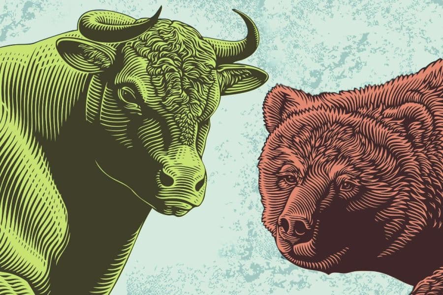 Bull and Bear Market